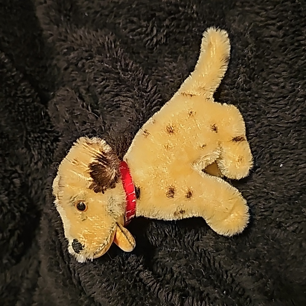 Collection dalmatier - Picture 2 of 3